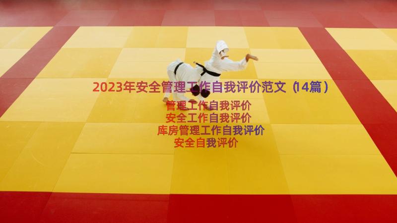 2023年安全管理工作自我评价范文（14篇）