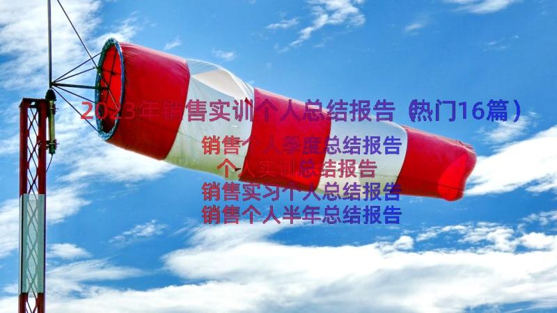 2023年销售实训个人总结报告（热门16篇）