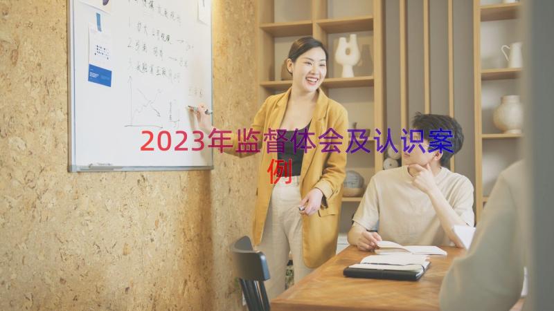 2023年监督体会及认识（案例13篇）