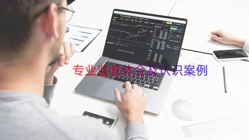 专业监督体会及认识（案例13篇）