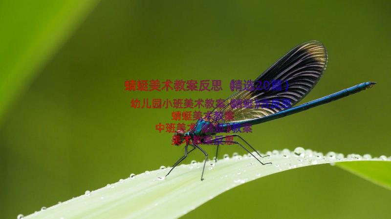 蜻蜓美术教案反思（精选20篇）