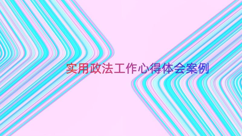 实用政法工作心得体会（案例18篇）