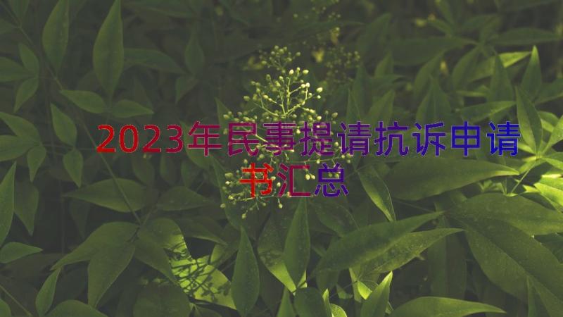 2023年民事提请抗诉申请书（汇总15篇）