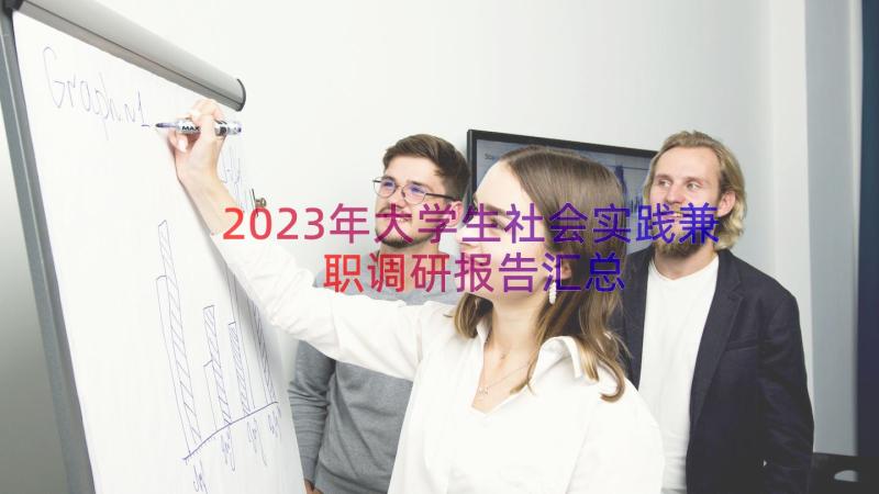 2023年大学生社会实践兼职调研报告（汇总17篇）