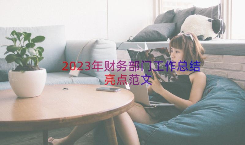 2023年财务部门工作总结亮点范文（22篇）