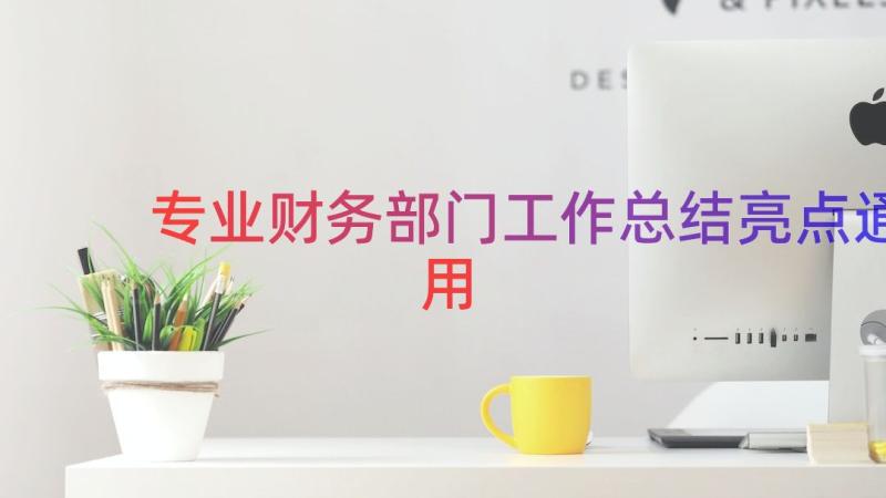 专业财务部门工作总结亮点（通用13篇）