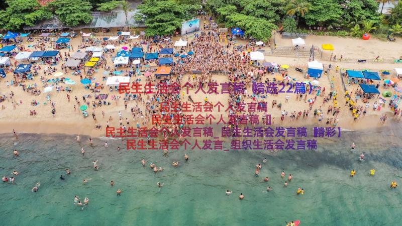 民生生活会个人发言稿（精选22篇）