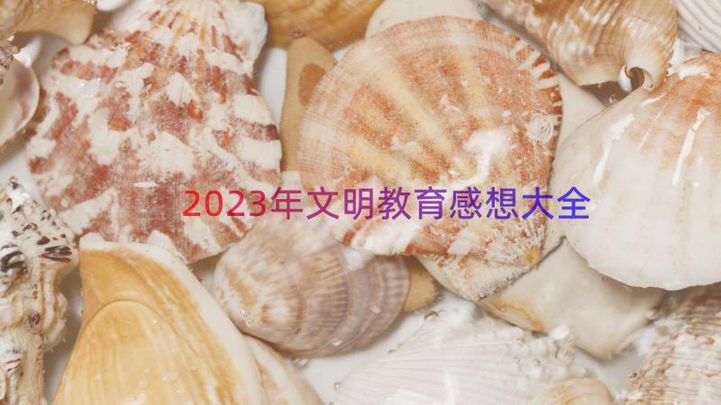 2023年文明教育感想大全（15篇）