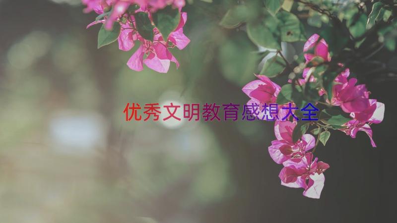 优秀文明教育感想大全（16篇）