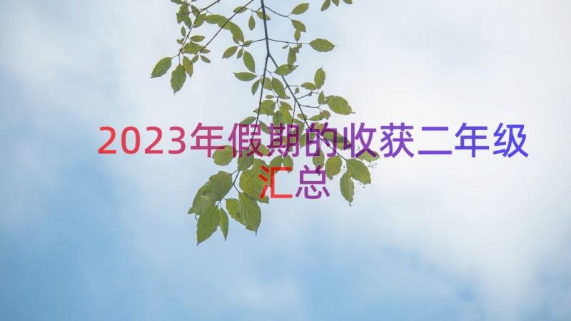 2023年假期的收获二年级（汇总16篇）