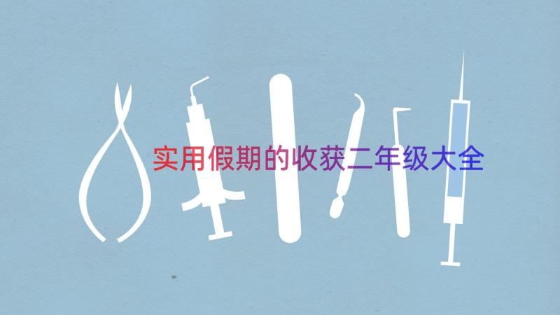 实用假期的收获二年级大全（16篇）