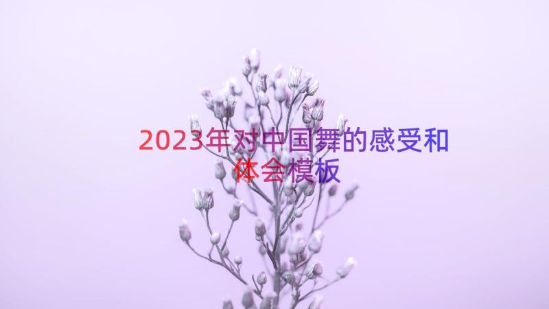 2023年对中国舞的感受和体会（模板14篇）