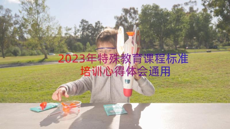 2023年特殊教育课程标准培训心得体会（通用16篇）