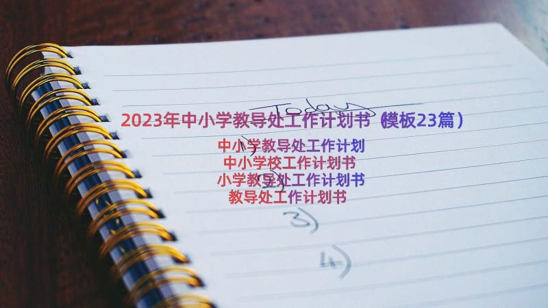2023年中小学教导处工作计划书（模板23篇）