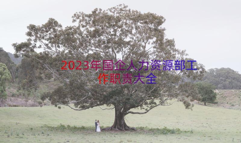 2023年国企人力资源部工作职责大全（14篇）