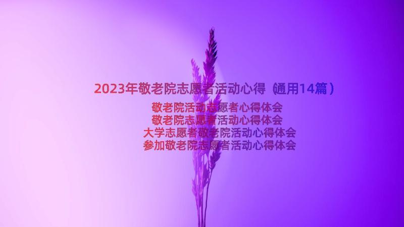 2023年敬老院志愿者活动心得（通用14篇）