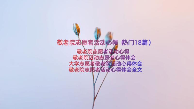 敬老院志愿者活动心得（热门18篇）