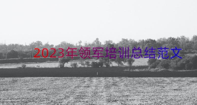 2023年领军培训总结范文（17篇）