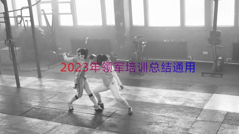 2023年领军培训总结（通用16篇）