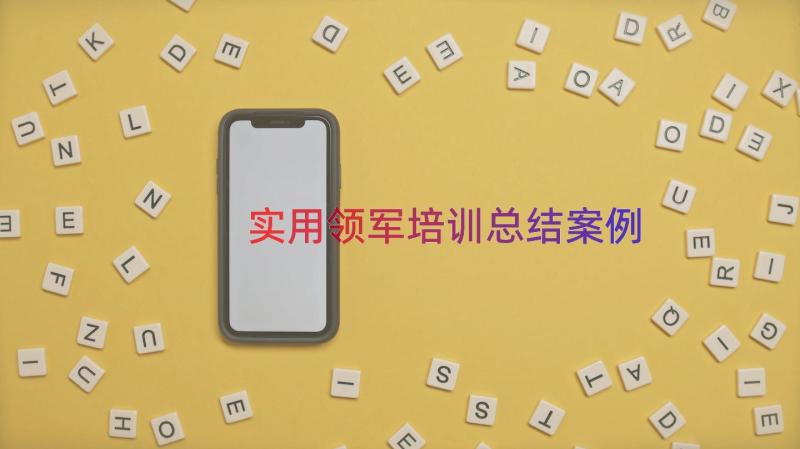 实用领军培训总结（案例18篇）