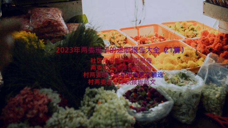 2023年两委班子的述职报告大全（21篇）