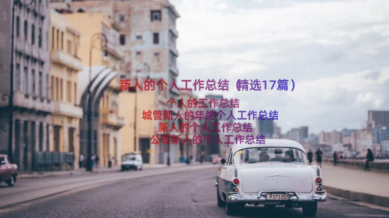 新人的个人工作总结（精选17篇）