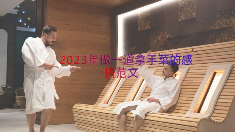 2023年做一道拿手菜的感悟范文（15篇）