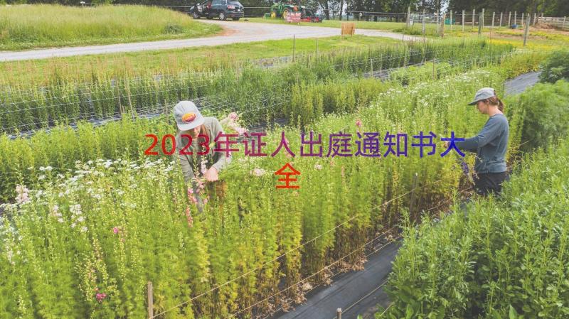 2023年证人出庭通知书大全（12篇）