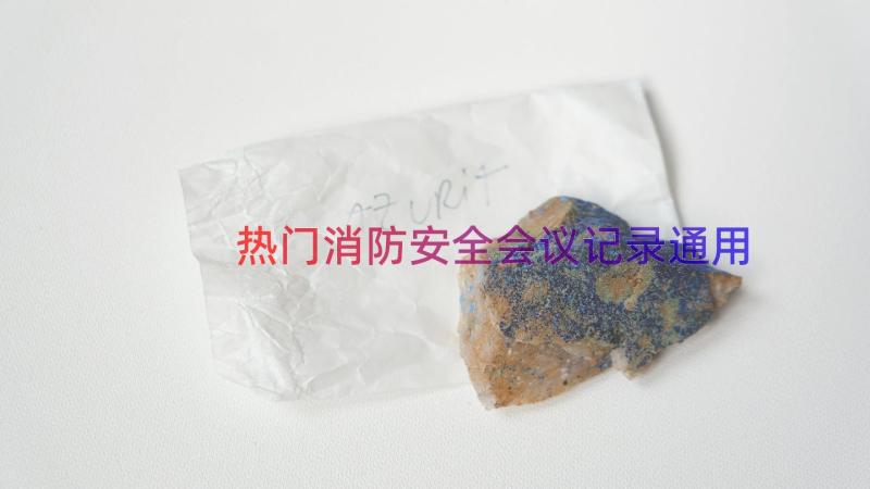 热门消防安全会议记录（通用17篇）