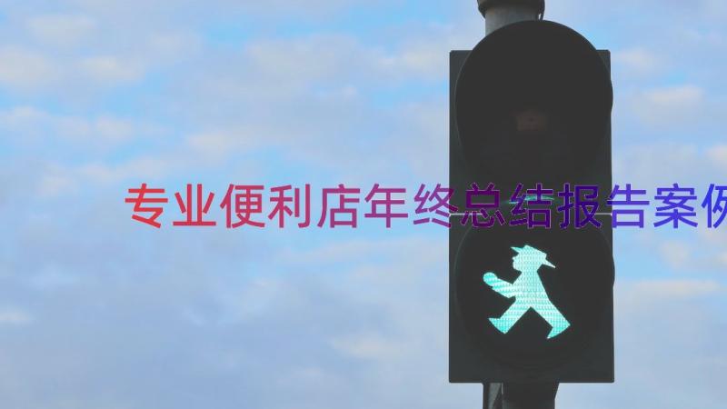 专业便利店年终总结报告（案例19篇）