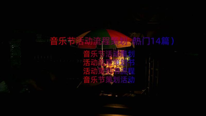 音乐节活动流程策划（热门14篇）