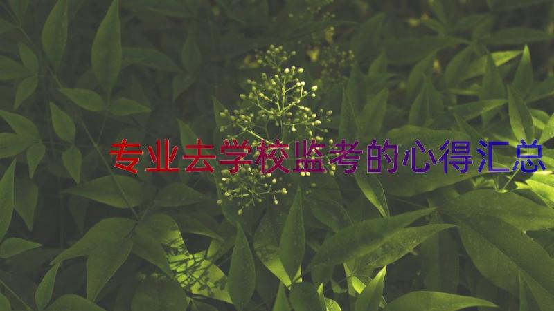 专业去学校监考的心得（汇总13篇）