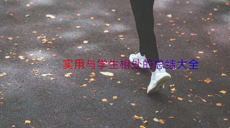 实用与学生相处的总结大全（15篇）