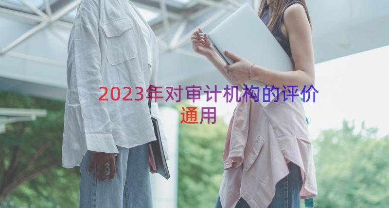 2023年对审计机构的评价（通用15篇）