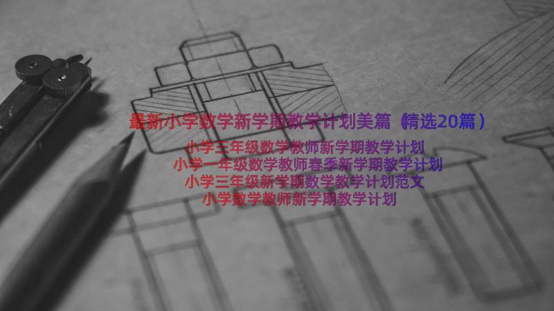 最新小学数学新学期教学计划美篇（精选20篇）