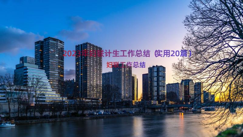 2023年妇联计生工作总结（实用20篇）