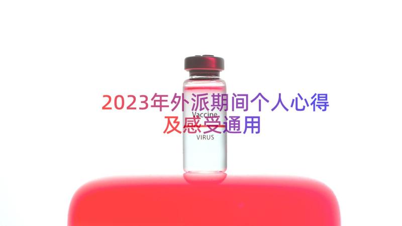 2023年外派期间个人心得及感受（通用19篇）