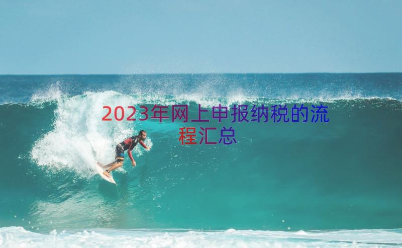 2023年网上申报纳税的流程（汇总16篇）