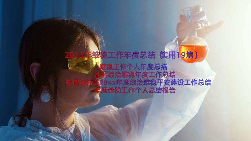 2023年维稳工作年度总结（实用19篇）