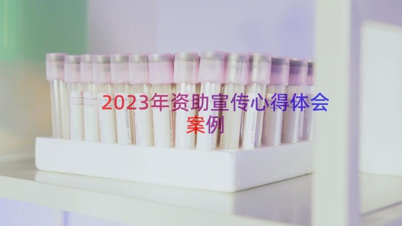 2023年资助宣传心得体会（案例18篇）