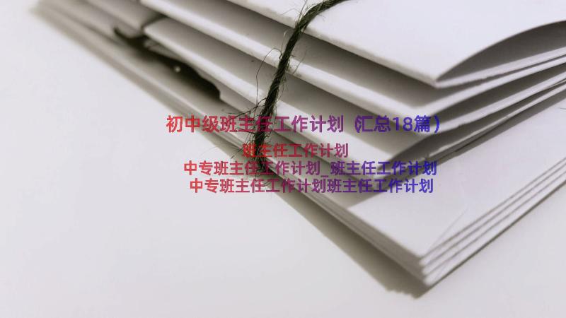 初中级班主任工作计划（汇总18篇）