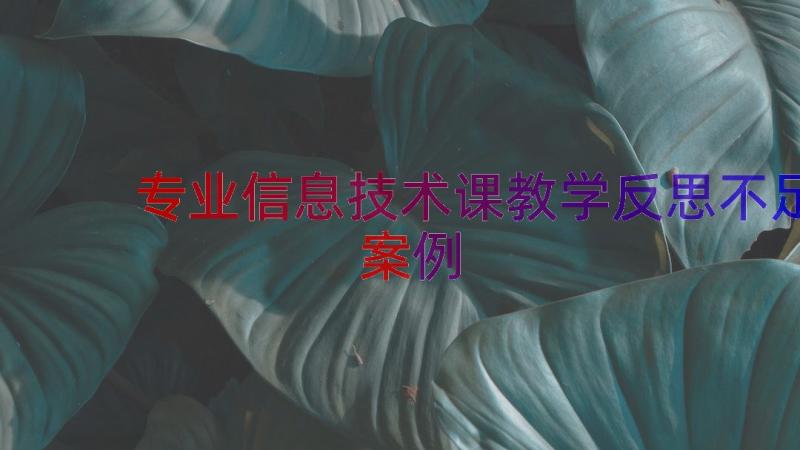 专业信息技术课教学反思不足（案例20篇）