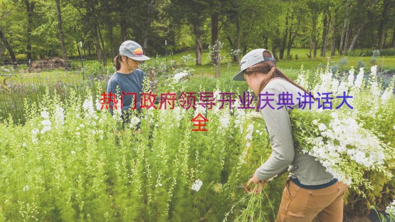 热门政府领导开业庆典讲话大全（16篇）