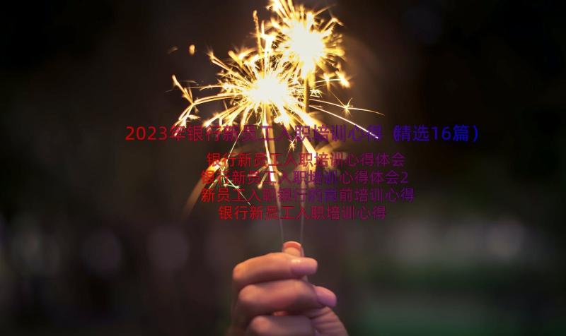 2023年银行新员工入职培训心得（精选16篇）