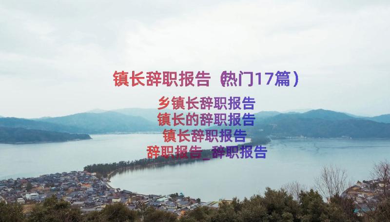 镇长辞职报告（热门17篇）