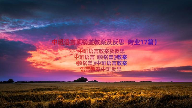 中班语言顶锅盖教案及反思（专业17篇）