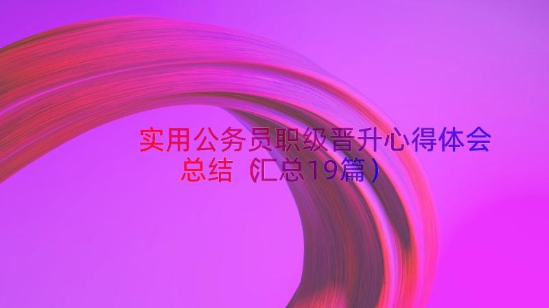 实用公务员职级晋升心得体会总结（汇总19篇）