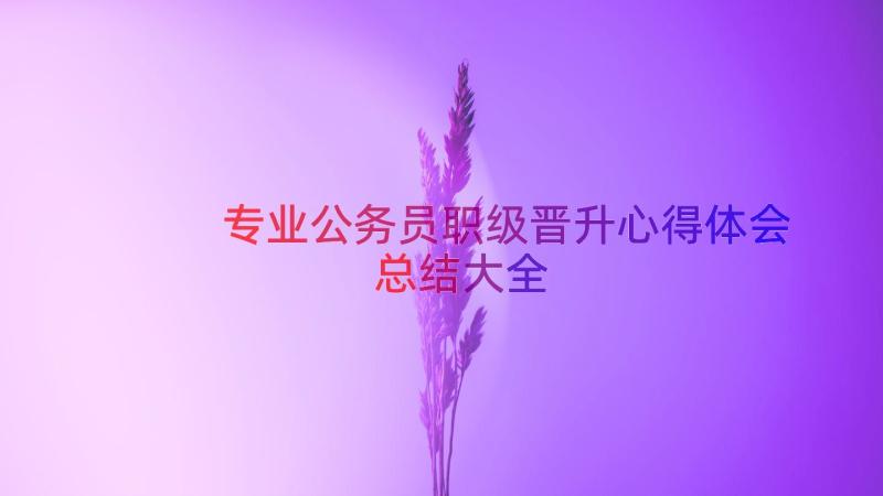 专业公务员职级晋升心得体会总结大全（14篇）