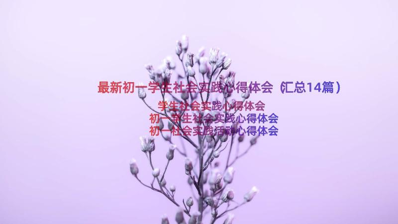 最新初一学生社会实践心得体会（汇总14篇）