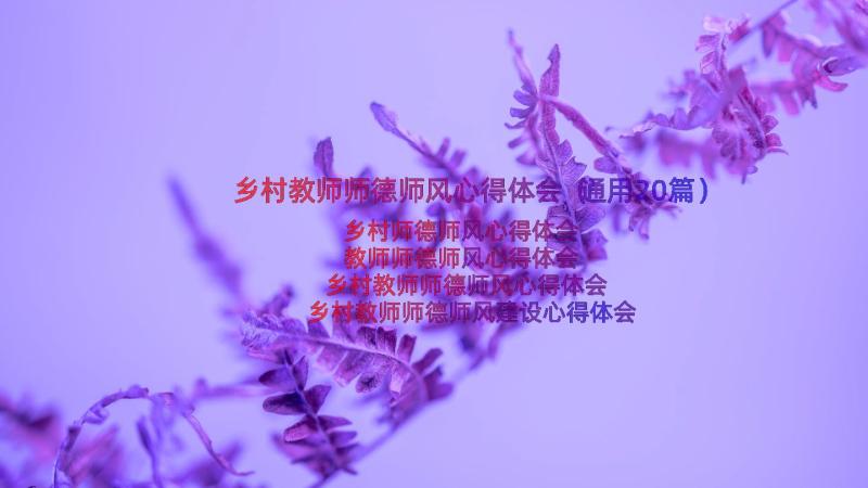 乡村教师师德师风心得体会（通用20篇）